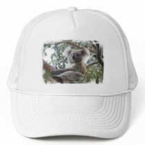 Koala Baseball Hat
