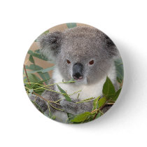 Koala Bear Button