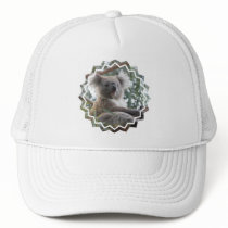 Koala Bear Facts Baseball Hat