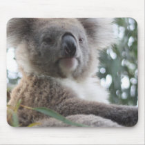 Koala Bear Facts Mouse Pad
