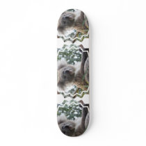 Koala Bear Facts Skateboard