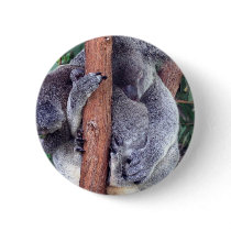 Koala Bear Family Button