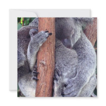 Koala Bear Family Invitations