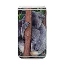 Koala Bear Family  Samsung Galaxy Case