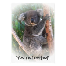 Koala Bear Invitation For Any Occasion