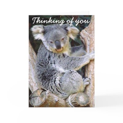 Koala Bear Love_ Greeting Card