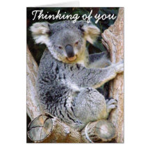 Koala Bear Love_ Greeting Card