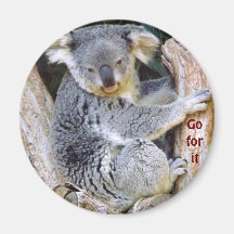 Koala Bear Love_ Refrigerator Magnet