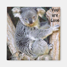 Koala Bear Love_ Refrigerator Magnet