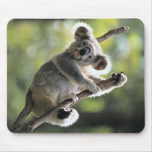 Koala Bear Mousepads