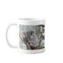 koala bear coffee mugs