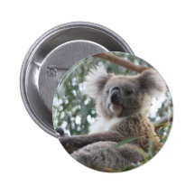 Koala Button