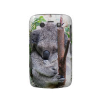Koala Cuddle Blackberry Bold Case