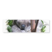 Koala Cuddle Bumper Sticker