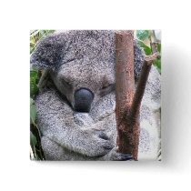 Koala Cuddle Square Button