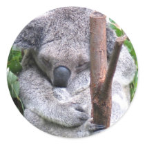 Koala Cuddle Stickre Round Sticker