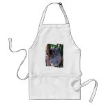Koala Family Apron