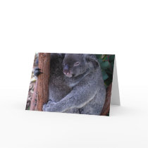 Koala Family Greeting Card