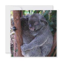 Koala Family Invitation