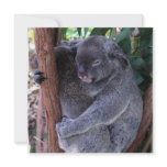 Koala Family Invitation