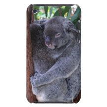 Koala Family iTouch Case iPod Touch Cover