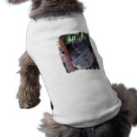 Koala Family Pet Shirt