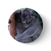Koala Family Round Button