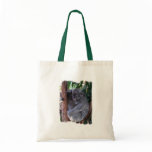 Koala Family Small Canvas Bag