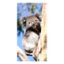 Koala in its natural habitat photo cards