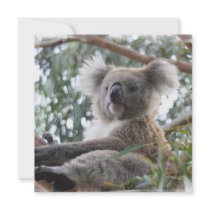 Koala Invitations