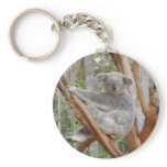 Koala keychains