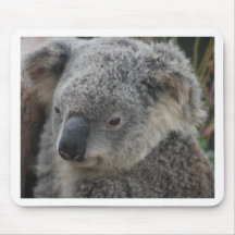 Koala Mouse Mats