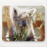 koala mousepads