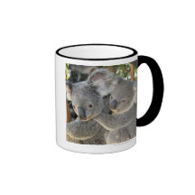 Koala Phascolarctos cinereus Queensland . Coffee Mugs