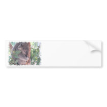 Koala Photo Bumper Sticker