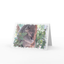 Koala Photo Card