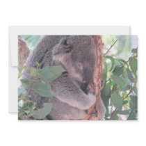 Koala Photo Invitation