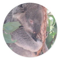 Koala Photo Sticker