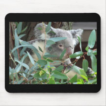 Koala Photography Mousepad