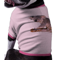 Koala Picture Pet Tee Shirt