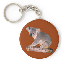 Koala Picture Keychains