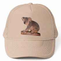 Koala Picture Trucker Hat