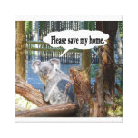 Koala "Please Save my home". Canvas Prints