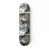 Koala Skateboard