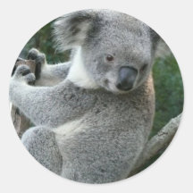 Koala Stickers