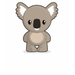 Koala Women's T-Shirt