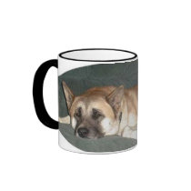 kohai-1mug