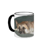 kohai-1mug