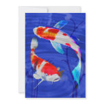 Kohaku Duo in Deep Blue Pond