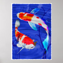 Kohaku Duo in Deep Blue Pond Print